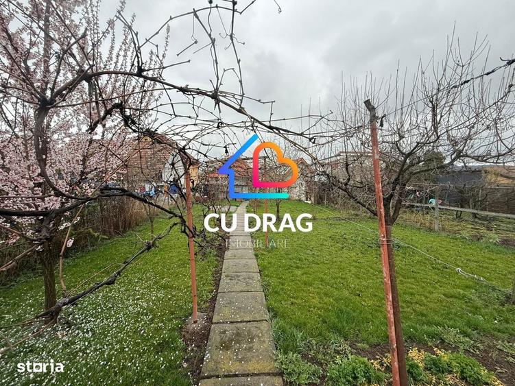 NOU pe pia?a! Casa individuala in Trei Stejari teren generos 550 mp, - 12