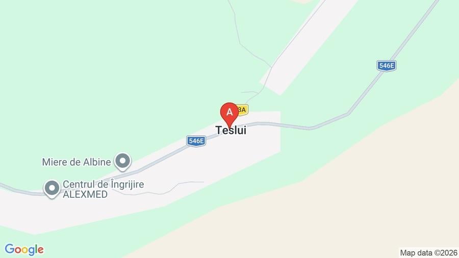 Teren extravilan de 5000 mp, în Teslui