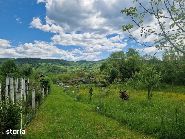 Teren de 3026 mp, în Central