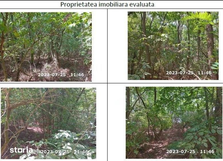 Teren de 10000 mp, în Horgești