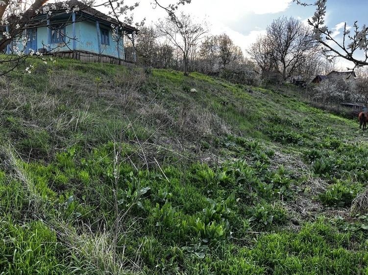 Spațiu comercial, de 1,700 mp, în Rediu