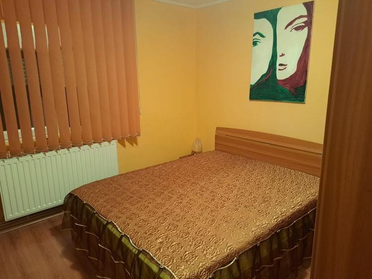 Apartament cu 2 camere decomandat, mobilat în Brazda lui Novac