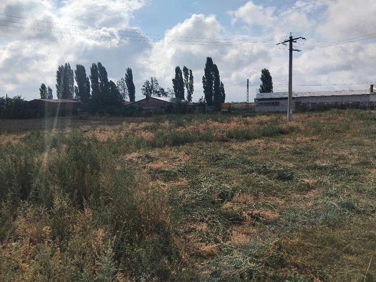 Spațiu comercial, în Est