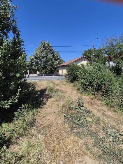 Teren de 3700 mp, în Lazuri