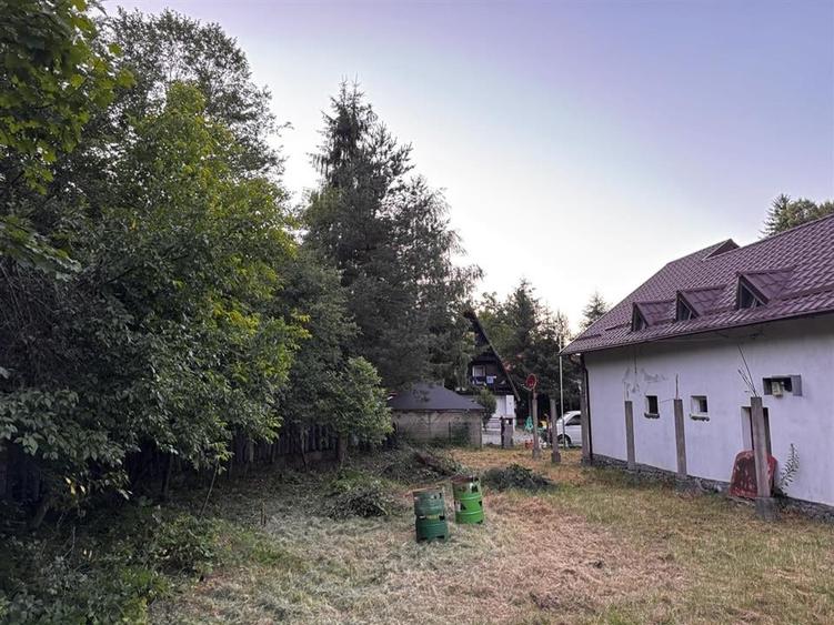 Hotel/Pensiune, de 300 mp, în Cârțișoara