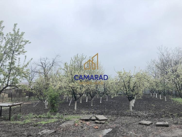 Casă individuală cu 3 camere cu Teren 1400 Mp în Tămădău Mare