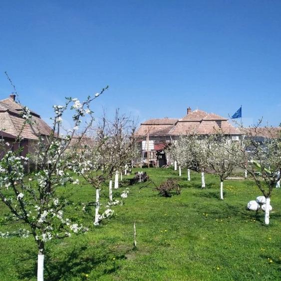 Casă individuală cu 6 camere cu Teren 3500 Mp în Florești