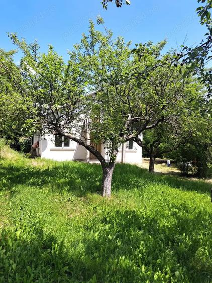Casă cu Teren 3780 Mp în Hulubești