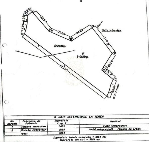Teren Construcții intravilan de 5164 mp, în Colibița