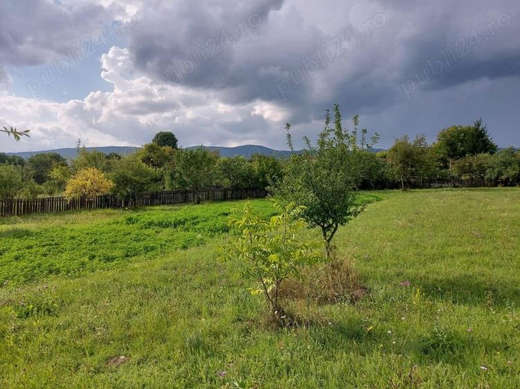 Teren de 2900 mp, în Estelnic