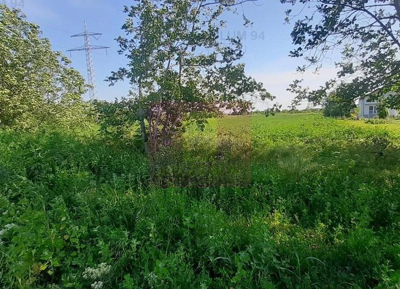Teren de 5000 mp, în Copăceni