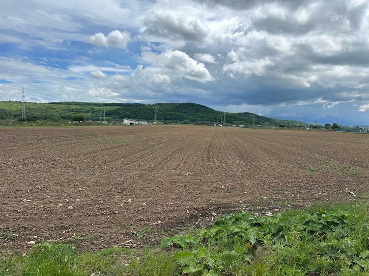 Vand teren extravilan 3.240 mp la strada * intre Selimbar si Bungard - 6