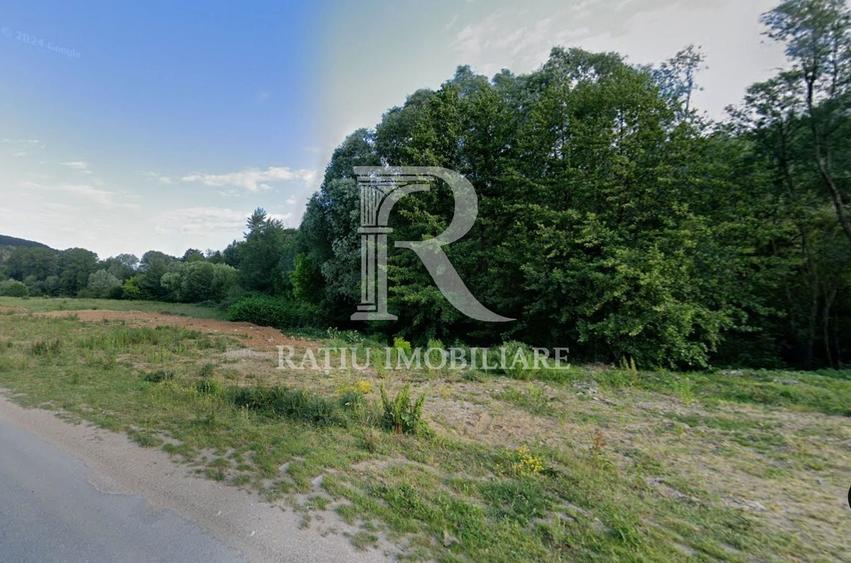 Teren Construcții extravilan de 500 mp, în Șoimi