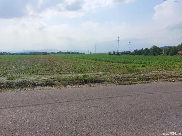 Teren de 3600 mp, în Central