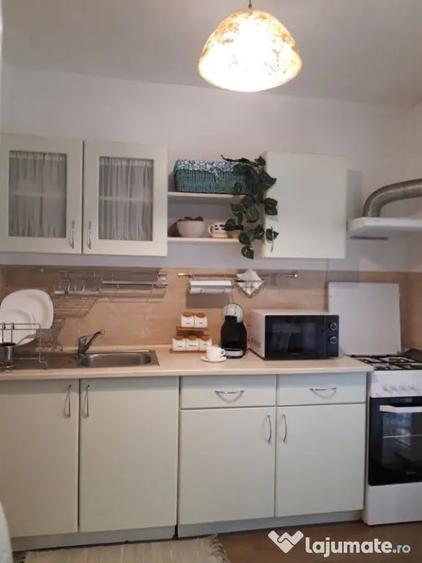 Apartament de inchiriat 1 camera Marasti - Cluj-Napoca (Cluj) - 6