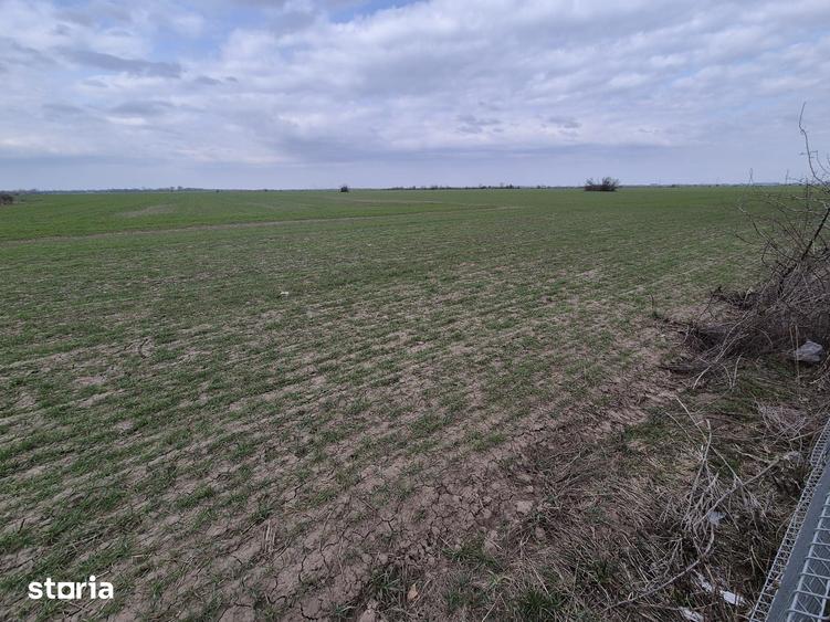 Teren de 13852 mp, în Domnești