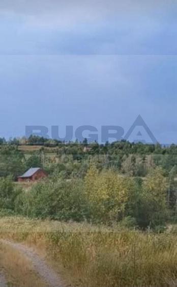 Teren Construcții extravilan de 4265 mp, în Dângău Mare