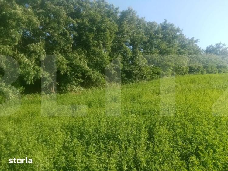 Teren de 3700 mp, în Brăești