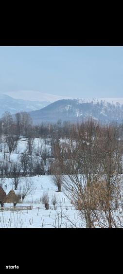 Teren de 24000 mp, în Albești