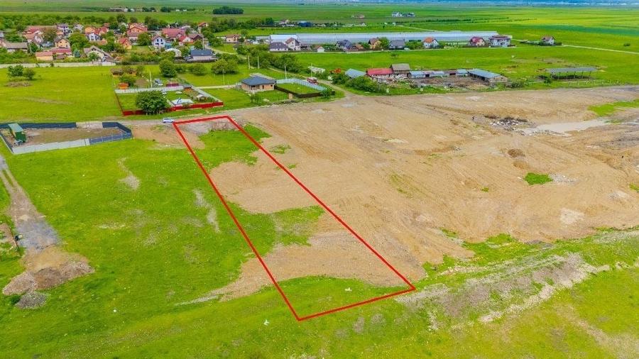 Teren Construcții intravilan de 1450 mp, în Cărpiniș
