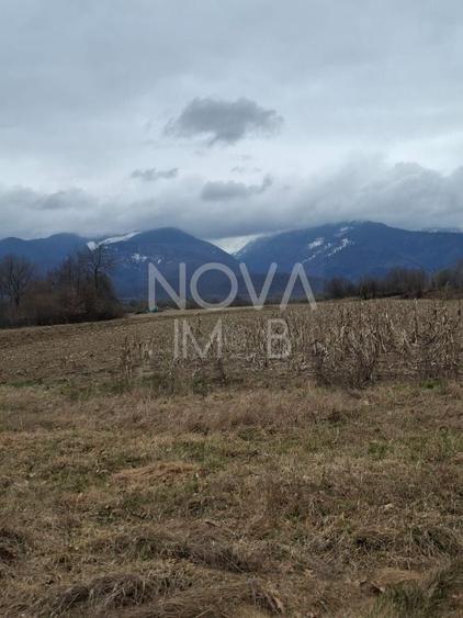 Teren agricol extravilan de 2100 mp, în Arpașu de Sus