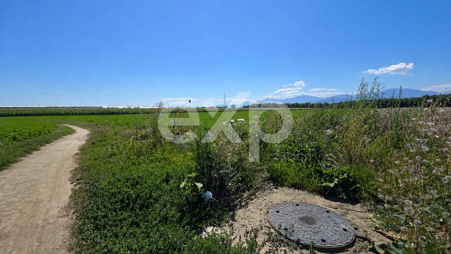 Teren agricol intravilan de 17204 mp, în Stupini