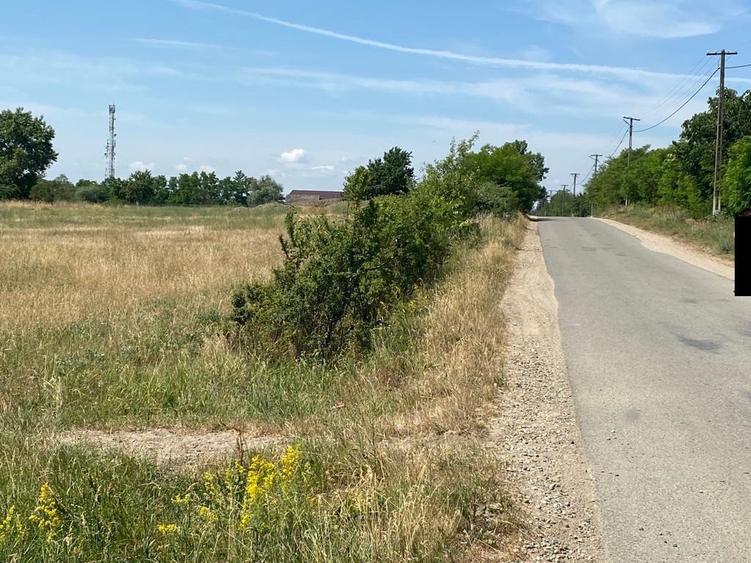 Mediesu Aurit, 1,5ha teren - 1