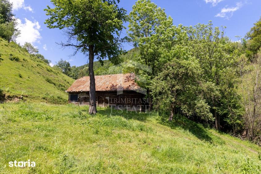 Teren de 11381 mp, în Moieciu