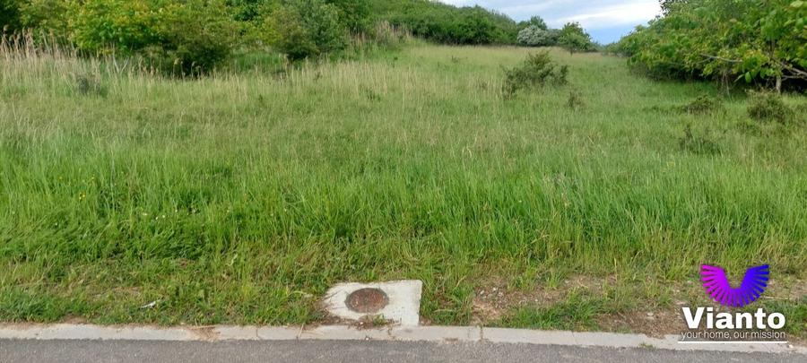 Teren Construcții intravilan de 6500 mp, în Gușterița