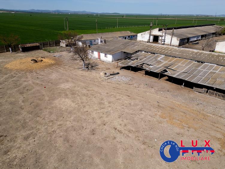 Teren agricol intravilan de 11532 mp, în Mihail Kogălniceanu