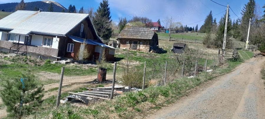Casă cu 3 camere cu Teren 3892 Mp în Dorna Candrenilor