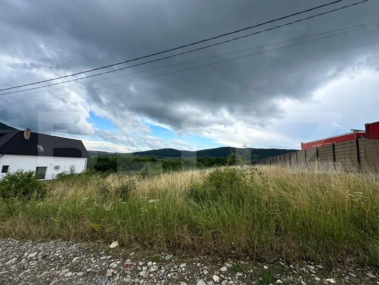 Teren Construcții intravilan de 2500 mp, în Viișoara