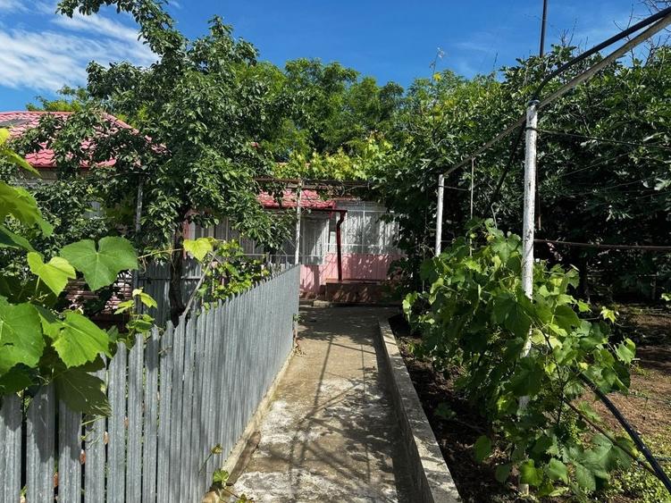 Casă cu 4 camere în Cudalbi