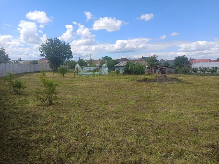 Casa si teren de vanzare - 7