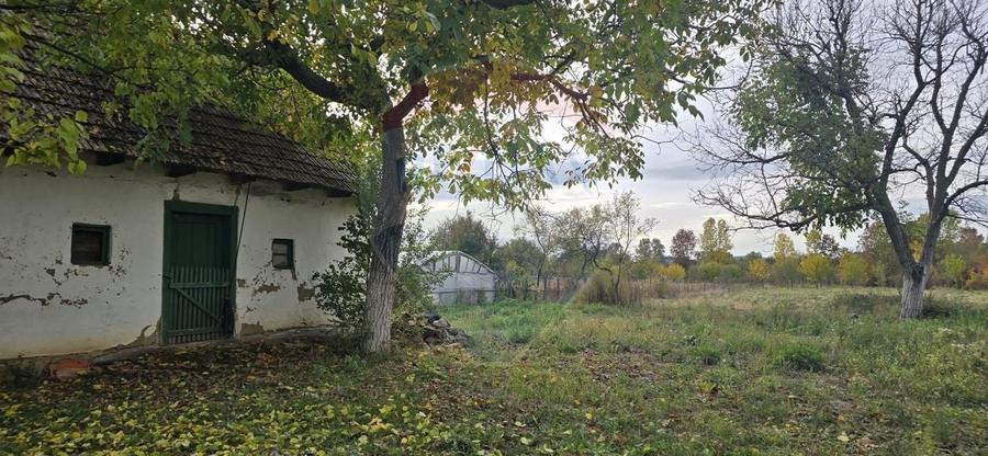 Teren Construcții intravilan de 4208 mp, în Șilindia