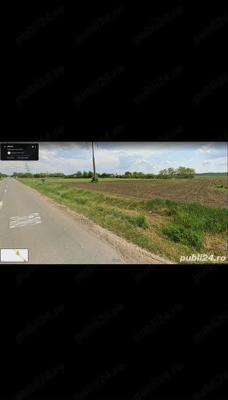 Teren de 6000 mp, în Panaci