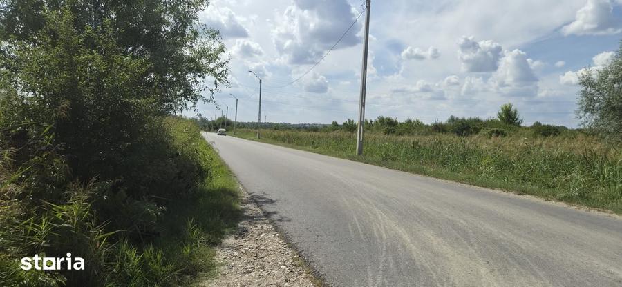 Vand teren Stefanesti, Arges, parcelabil, strada sticlelor, 18600mp - 4