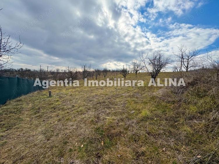 Teren de 500 mp, în Călugareni