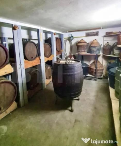 Casă cu 4 camere cu Teren 300 Mp în Ultracentral
