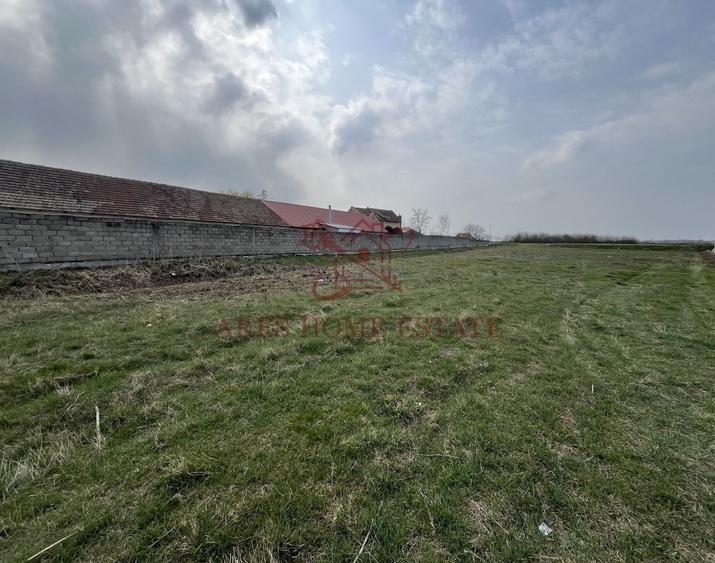 Teren Construcții intravilan de 2450 mp, în Bucovăț (Remetea Mare)