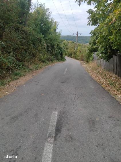 Casă cu 3 camere cu Teren 2880 Mp în Băbana