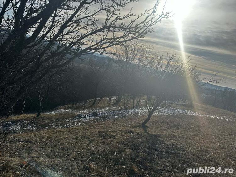 Teren de 8040 mp, în Mățău