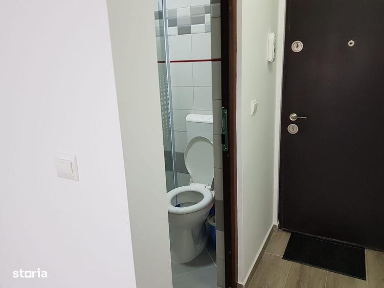 Garsonieră în Buziașului