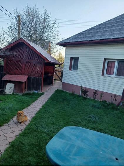 Casă cu Teren 1100 Mp în Livezeni