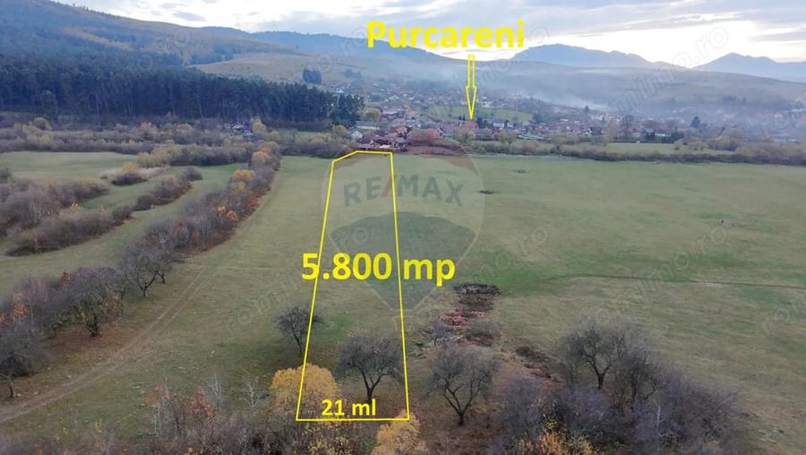 Teren de 5800 mp, în Purcăreni