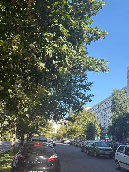 Apartament cu 2 camere decomandat în Octavian Goga