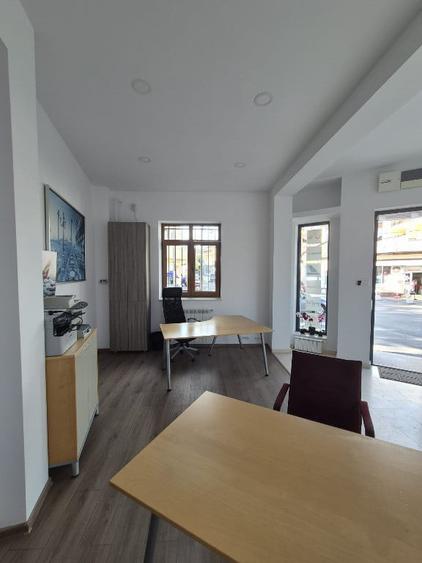 Proprietar,sp.comercial,cabinet,salon,agentie,Tineretului-Parcul Carol - 8