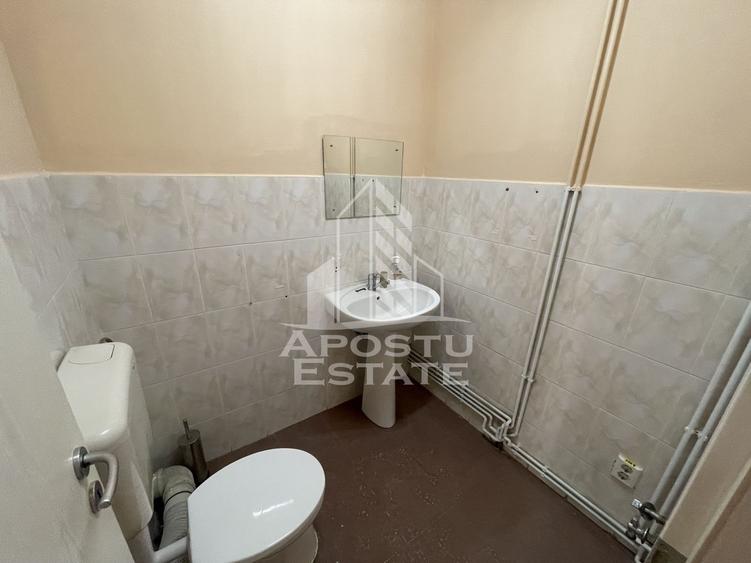 Spațiu comercial, de 284 mp, în Elisabetin