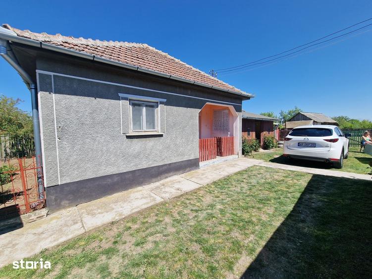 Casă cu 6 camere cu Teren 4780 Mp în Homorog