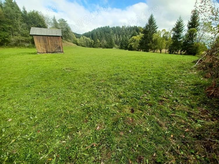 Teren de 8000 mp, în Vama